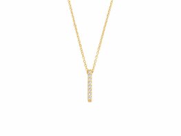 Ketting + hanger - Goud 14kt | BLUSH