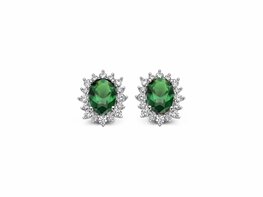 Oorbellen - Zilver | NAIOMY