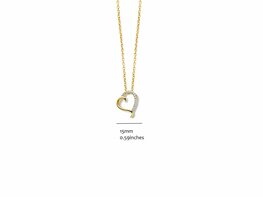 Ketting + hanger - Zilver | SILVER ROSE