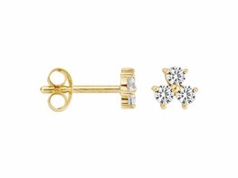 Oorbellen - Goud 14kt | BLUSH