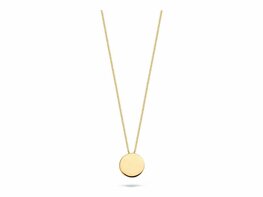 Ketting + hanger - Goud 14kt | BLUSH