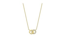 Ketting + hanger - Goud 14kt | BLUSH