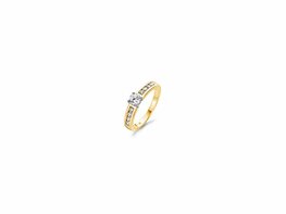 Ring - Goud 14kt | BLUSH