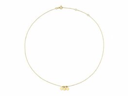 Ketting + hanger - JACKY GOLD | Goud 14kt