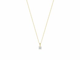 Hanger - Goud 14kt | BLUSH