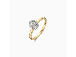 Ring - Goud 14kt | BLUSH
