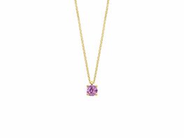 Ketting + hanger - Goud 14kt | BLUSH