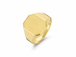 Ring - Goud 14kt | FJORY