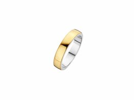 Ring - Goud 14kt | FJORY