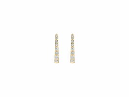 Oorbellen - Goud 14kt | BLUSH