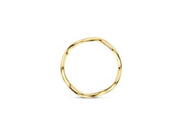 Ring - Goud 14kt | BLUSH