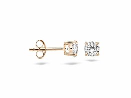 Oorbellen - Goud 14kt | BLUSH
