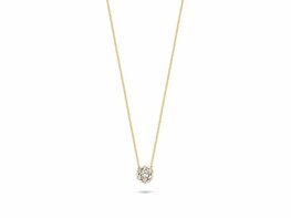 Hanger - Goud 14kt | BLUSH
