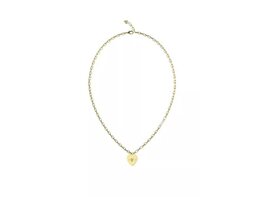 Ketting + hanger - Guess | PVD-GEEL
