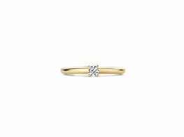 Ring - Goud 14kt | BLUSH