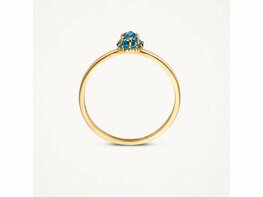 Ring - Goud 14kt | BLUSH