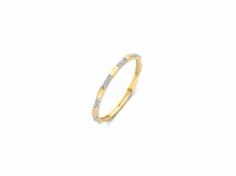 Ring - Goud 14kt | BLUSH