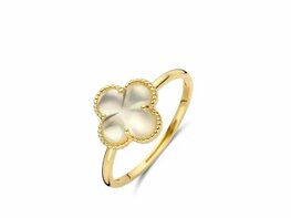 Ring - Goud 14kt | BLUSH