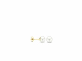 Oorbellen - Goud 14kt | BLUSH