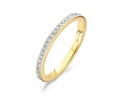Ring - Goud 14kt | BLUSH Ring - Goud 14kt | BLUSH