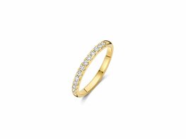 Ring - Goud 14kt | BLUSH Ring - Goud 14kt | BLUSH