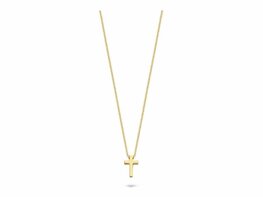Ketting + hanger - Goud 14kt | BLUSH Ketting + hanger - Goud 14kt | BLUSH