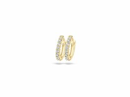Oorbellen - Goud 14kt | BLUSH Oorbellen - Goud 14kt | BLUSH
