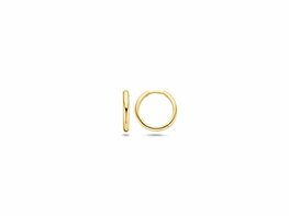 Oorbellen - Goud 14kt | BLUSH Oorbellen - Goud 14kt | BLUSH