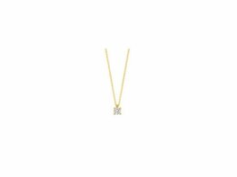 Ketting + hanger - Goud 14kt | BLUSH