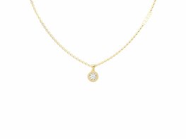 Ketting + hanger - Guess | PVD-GEEL